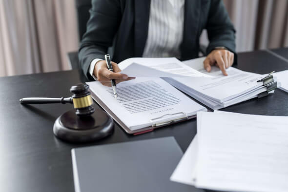 Legal Company: Data Processing Solution with Lingvanex